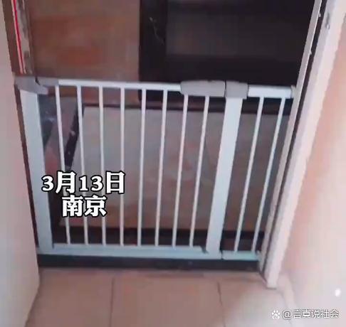 護(hù)欄網(wǎng)價(jià)格 護(hù)欄網(wǎng)價(jià)格