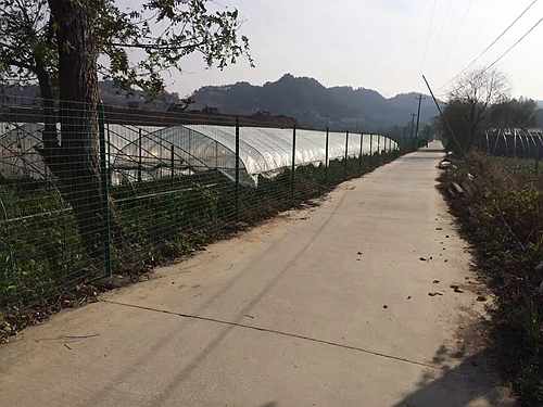 �Ͼ��o�ھW(w��ng)�r��