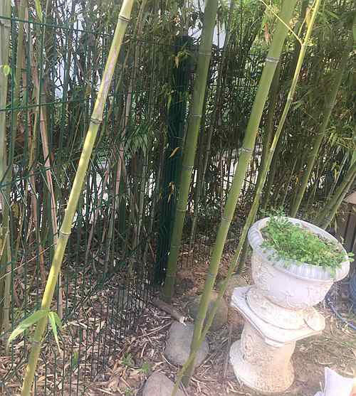 �Ͼ��o�ھW(w��ng)